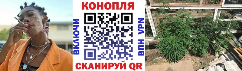 Купить наркотики цена Никольск ТГК Канабис МЕФ Гашиш КОКАИН Alpha-PVP