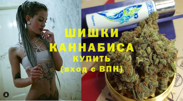 гашик Покровск
