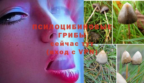 соль ск Абинск