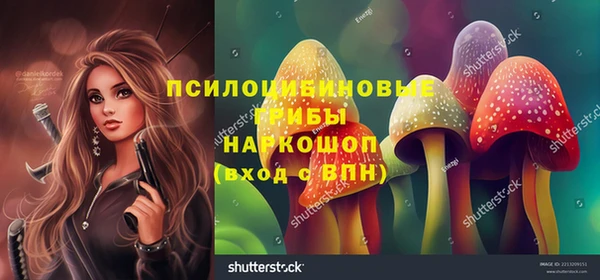 соль ск Абинск